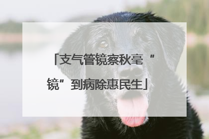 支气管镜察秋毫“镜”到病除惠民生